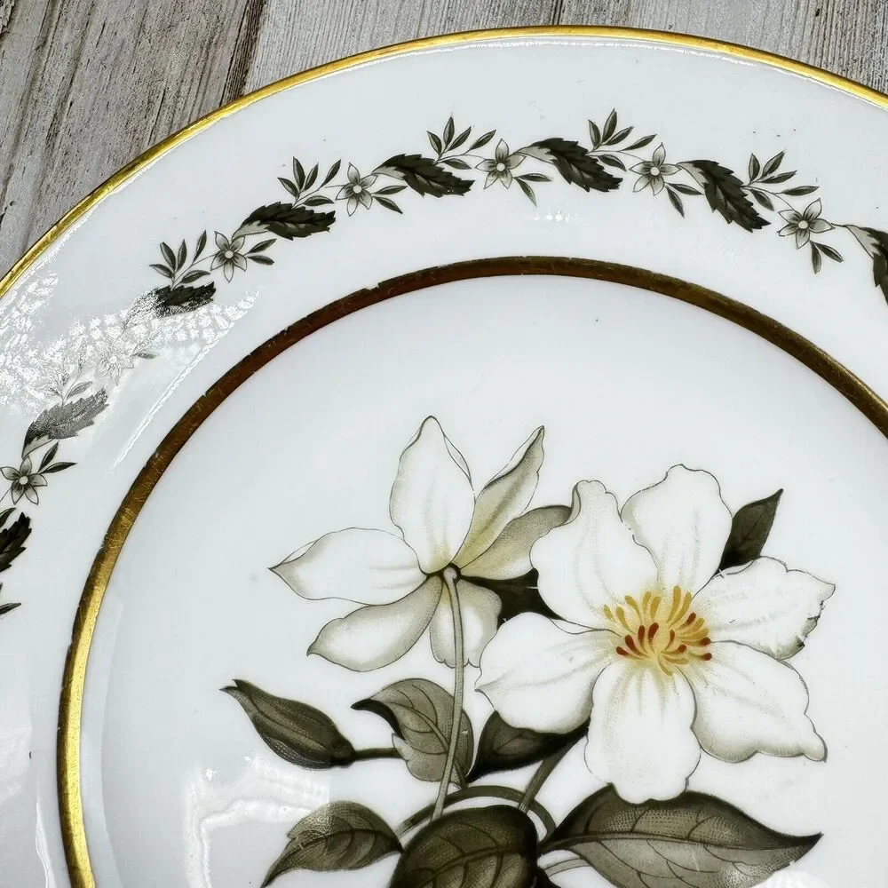 2 Vintage Royal Worcester Bernina 8” Salad Dessert Plates Made In England Flaw